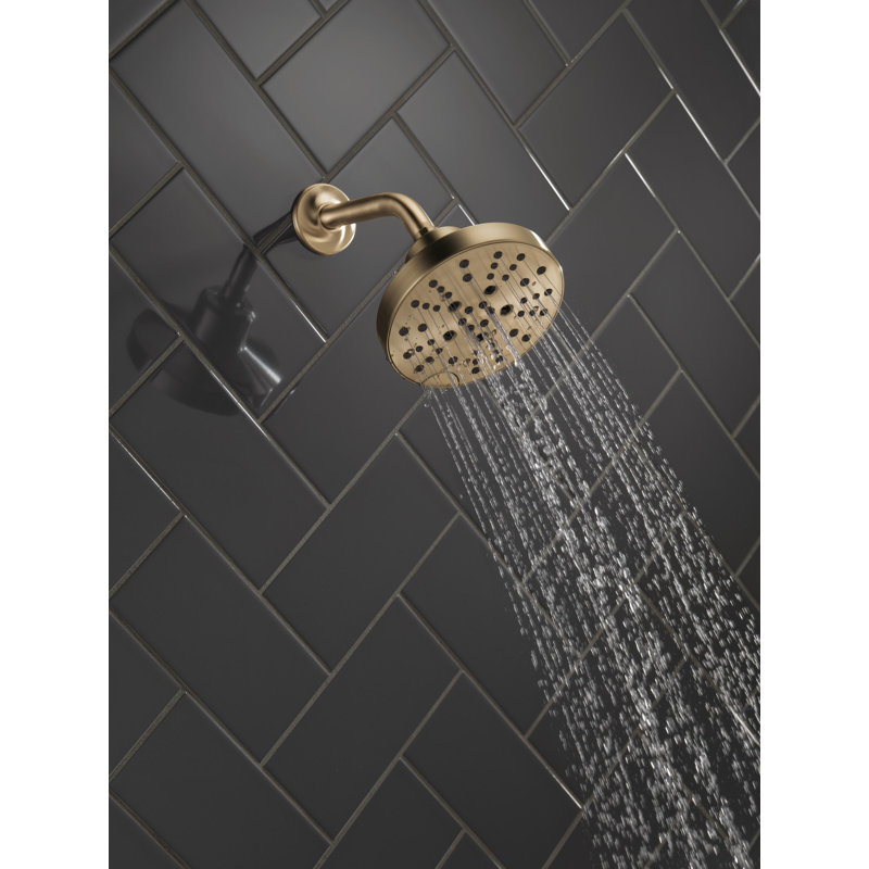 Pomme de douche réglable multifonctionnelle, Champagne champagne