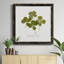 Toile encadrée Pressed Clover I-Premium - prête à être accrochée-1950035781-1950035782