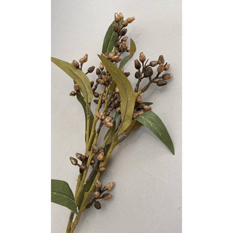 Vaporisateur de baies d'eucalyptus brun