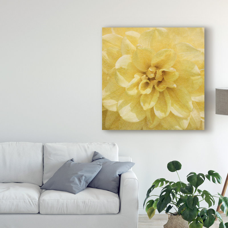 « wall fleur ii », photographie sur toile tendue, H 14 po x l 14 po x P 2 po
