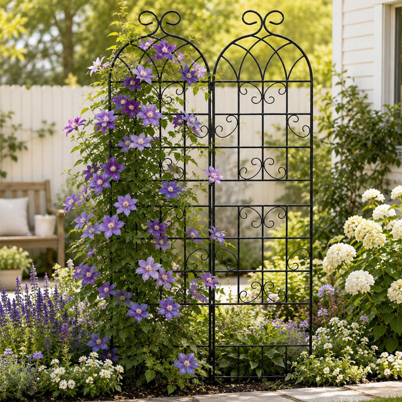 Ensemble de 2 treillis de jardin, support métallique pour plantes grimpantes (rosiers, vignes et jardinage extérieur)