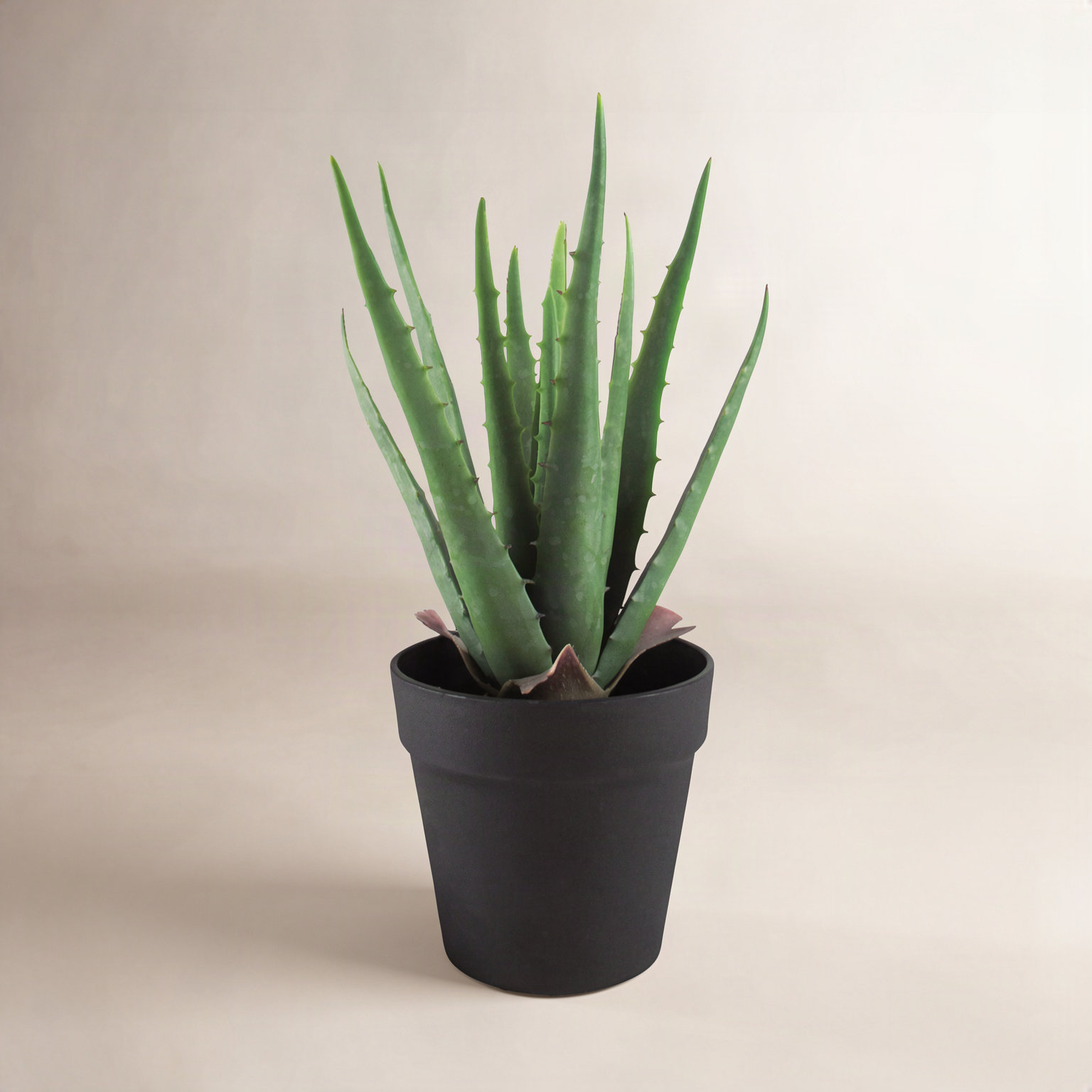 Plant in Pot,  13.5"H x 9" W x 9" D