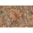 Dorn Hand Knotted Wool Oriental Indoor Rug