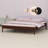 Sleek Simple Style Bed Frame with Engineered Support Grid and Tool-Free Construction-1276456306