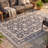 Selwyn Traditional Overdyed Solid Gray Ivory Beige Machine Washable Non-Slip Low Pile Indoor Outdoor Pet Friendly Living Room Bedroom Dining Room Entryway Hallway Office Area Rug-232951435