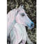 " Pink Lady " by France Gilbert-21786710