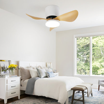 Ceiling Fan with LED Lights