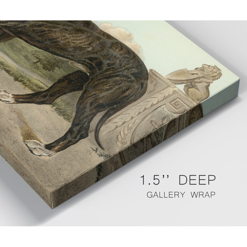 « Mastiff »-impression sur toile, H 12 po x l 8 po x P 1 po