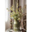 Tiges de eucalyptus d’automne, douilles et pulvérisateurs-339711779-339711788