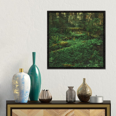 Olympic Rain Forest by Louis Ruth - Gallery-Wrapped Canvas Giclée on Canvas