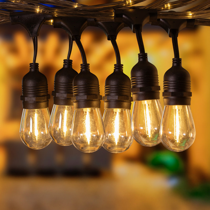 Guirlande lumineuse DEL extérieure de 14,6 m (48 pi), 24 ampoules incluses, 120 V, guirlande lumineuse néon féerique de qualité commerciale, fil de cuivre 18 AWG, gris transparent