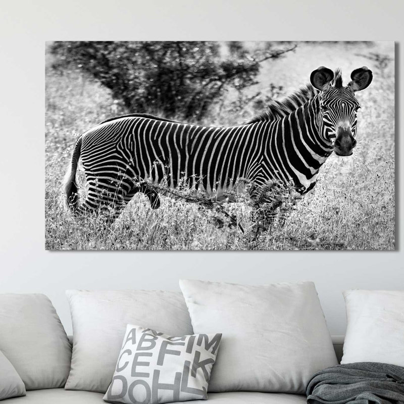 «Zebra Lookout», reproduction de photo, H 36 po x l 60 po x P 1,5 po, Toile tendue