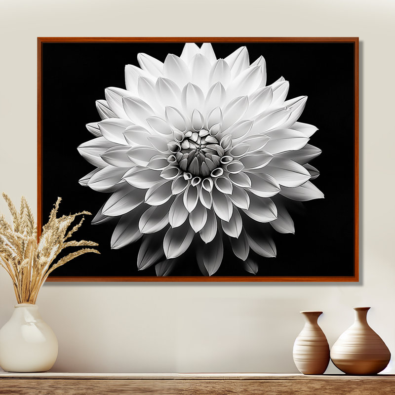 Dahlia en noir et blanc - impressions encadrées, Cadre flottant brun, H 12 po x l 20 po x P 1 po