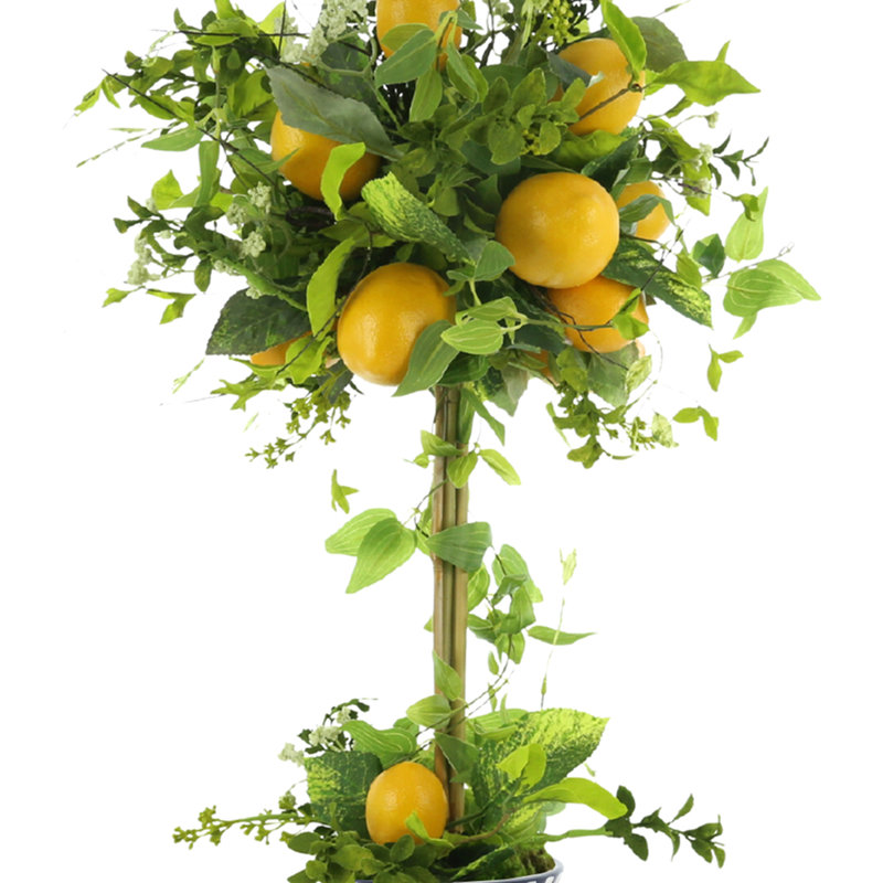 Topiaire citron et vigne dans un vase décoratif en céramique