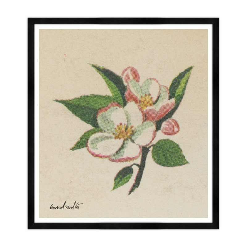 Fleur de cerisier - reproduction de cadre photo, Cadre noir