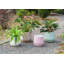 Petit pot en terre cuite roulé à la main avec soucoupe intégrée - Intérieur-1299429193-1299429192