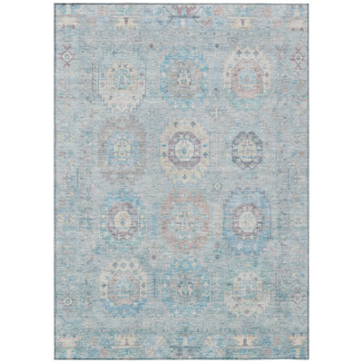 Machine Washable Indoor/Outdoor Lafferty ACN2227 Panel Rug