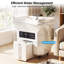 Système de spa professionnel à tête mobile avec cascade thermostatique et thérapie à DEL, réservoirs de grande capacité de 60 L, pour le soin du cuir chevelu du lit de salon et de spa-2145841675