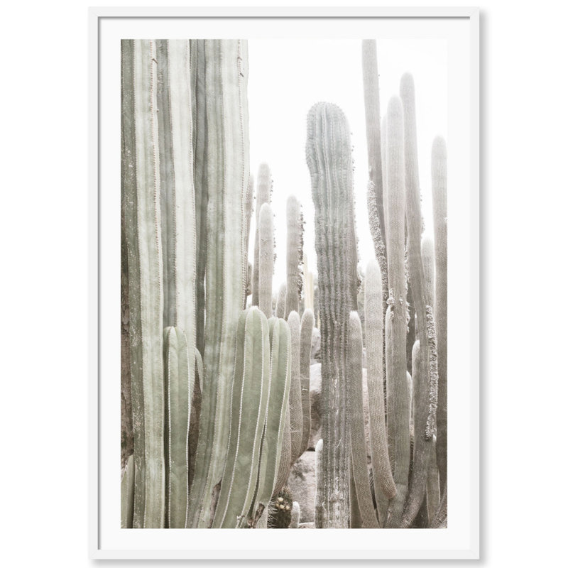 California Cactus par Carly Tabak - Photographie de cadre, L 18 po x H 25 po, Bois blanc