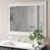 Woolum Flat Mirror