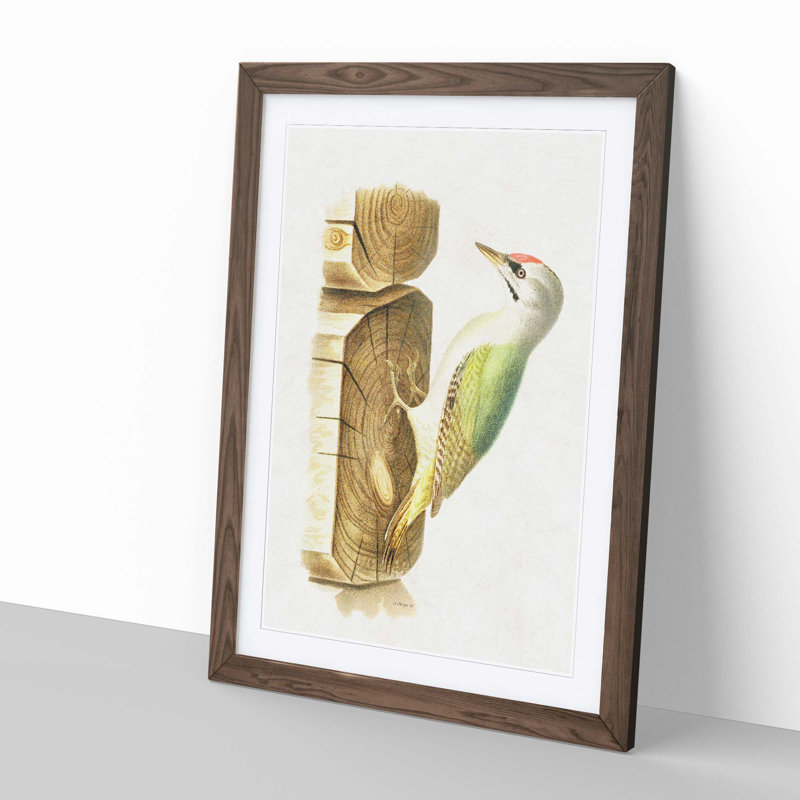 Woodpecker by Von Wright - Picture Frame Painting Print, 50cm H x 35cm W x 2cm D, Walnut