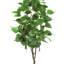 Bouleau artificiel en pot-416493235