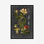 Midnight Botanical I by Vision Studio - Print-1560922780-1562315530
