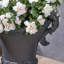 Pot de fleurs jardin pour patio-404415626