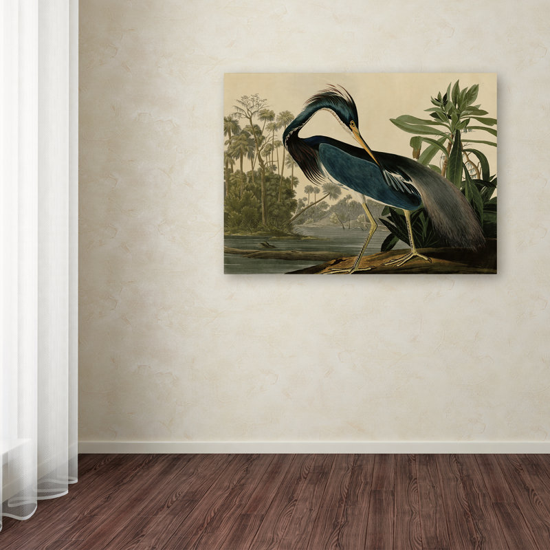 «Johniana Audubon» par John James Audubon, H 35 po x l 47 po x P 2 po, Toile tendue