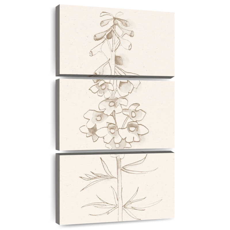 Delphinium I, H 32 po x l 15 po