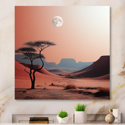«Moon Desert Coral Cosmos» sur