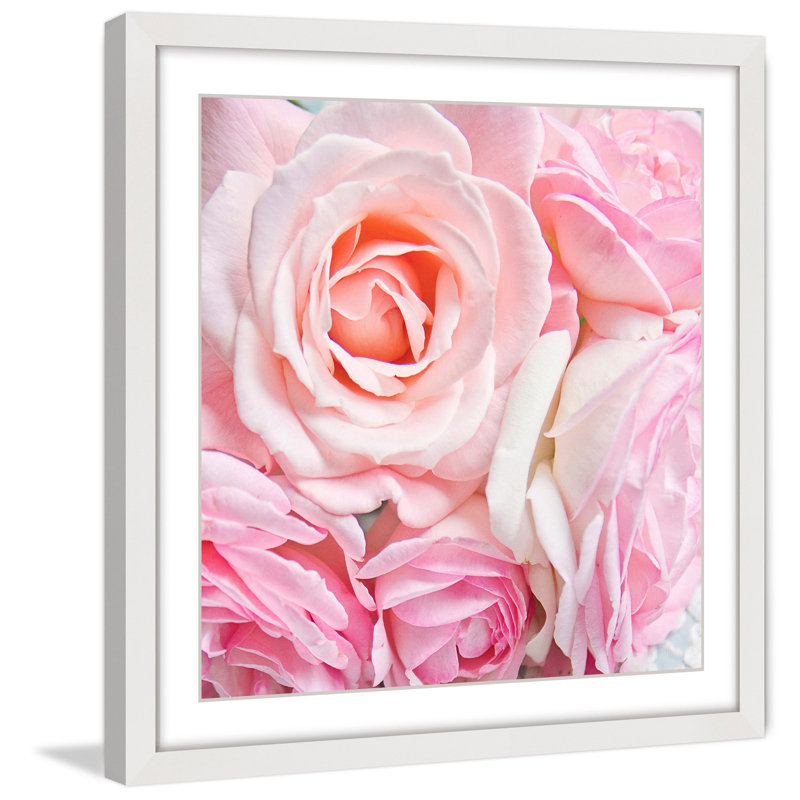 « rose roses » par sylvia cook, reproduction d’art encadrée, H 18 po x l 18 po x P 1,5 po