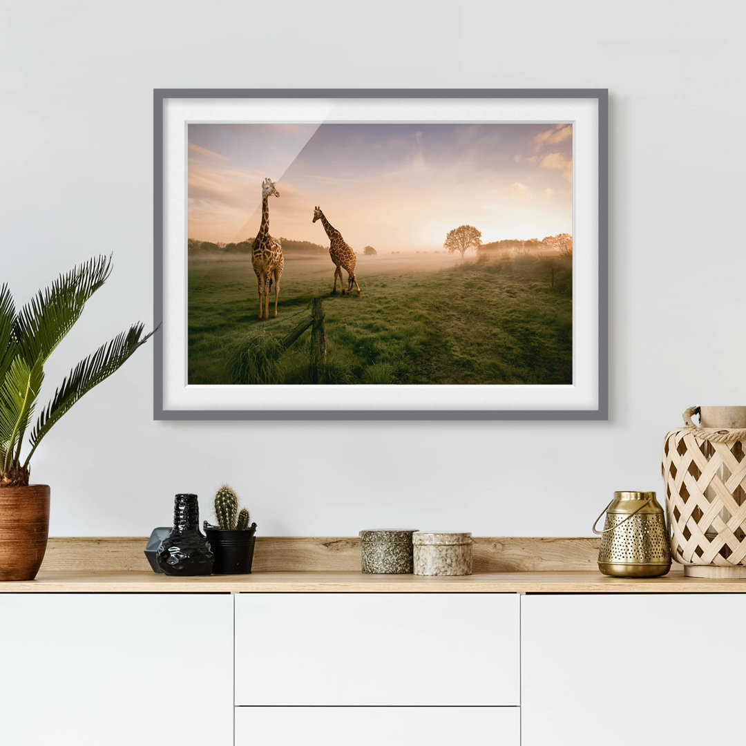 Gerahmter Fotodruck Surreal Giraffes