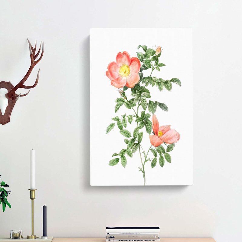 Pink Sweet Briar Rose by Pierre-Joseph Redoute - Wrapped Canvas Painting, 76cm H x 50cm W x 3cm D
