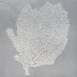 Seafan XII Print by L. Bodine