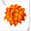 Arrangement Lillies-623490070-623490077