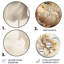 Fleur beige simple V - art floral rond en métal-109693194