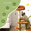 Arbre à chat cactus avec condo confortable et perchoir supérieur