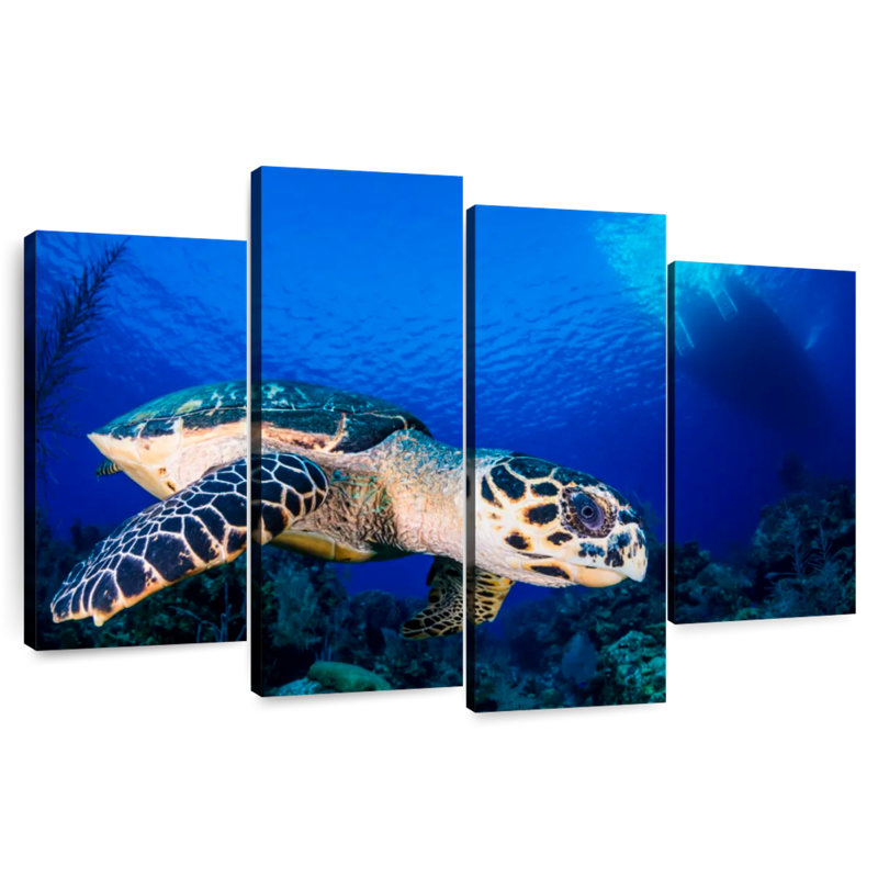 Tortue imbriquée sous-marine Brampt, H 54 po x l 84 po