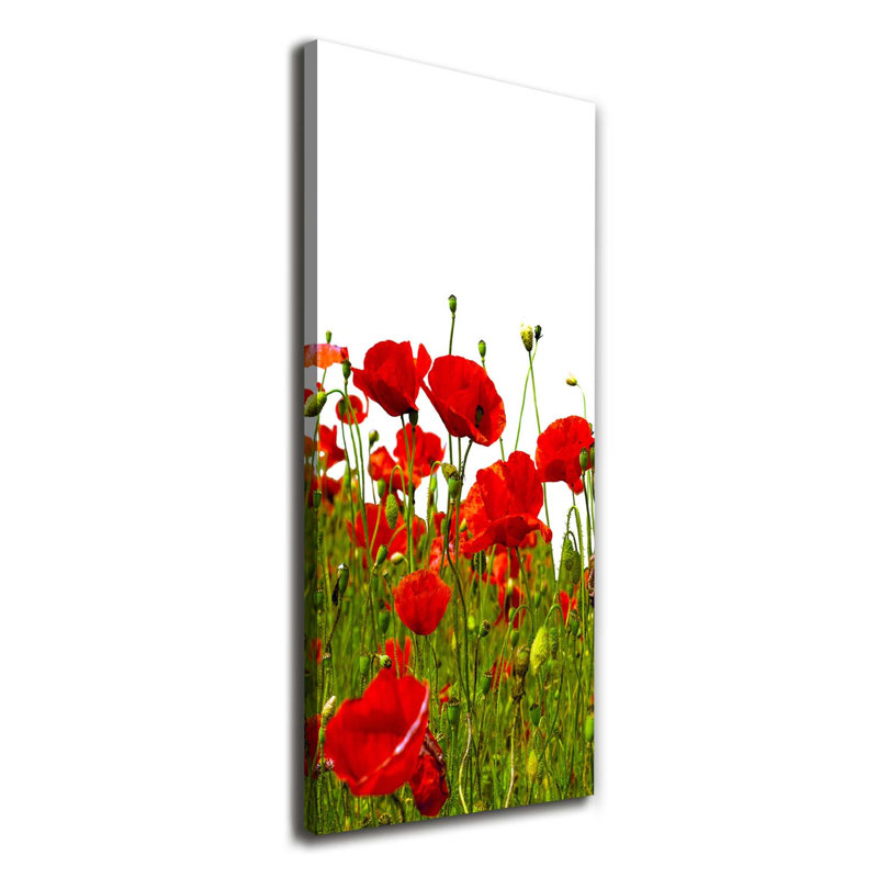 Field Of Poppies - Wrapped Canvas Print