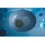 Kohler Whist, Artist Editions Oval Glass Undermount Bathroom Sink-36905208