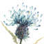 Natural Plantation V Print by Beverly Fuller-26773684-26773686