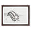 Turtle by Kono Bairei - Picture Frame Painting Print-55764909-55764913