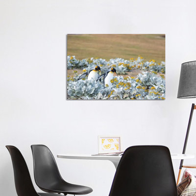 King Penguin On Falkland Islands. by Martin Zwick - Wrapped Canvas Print