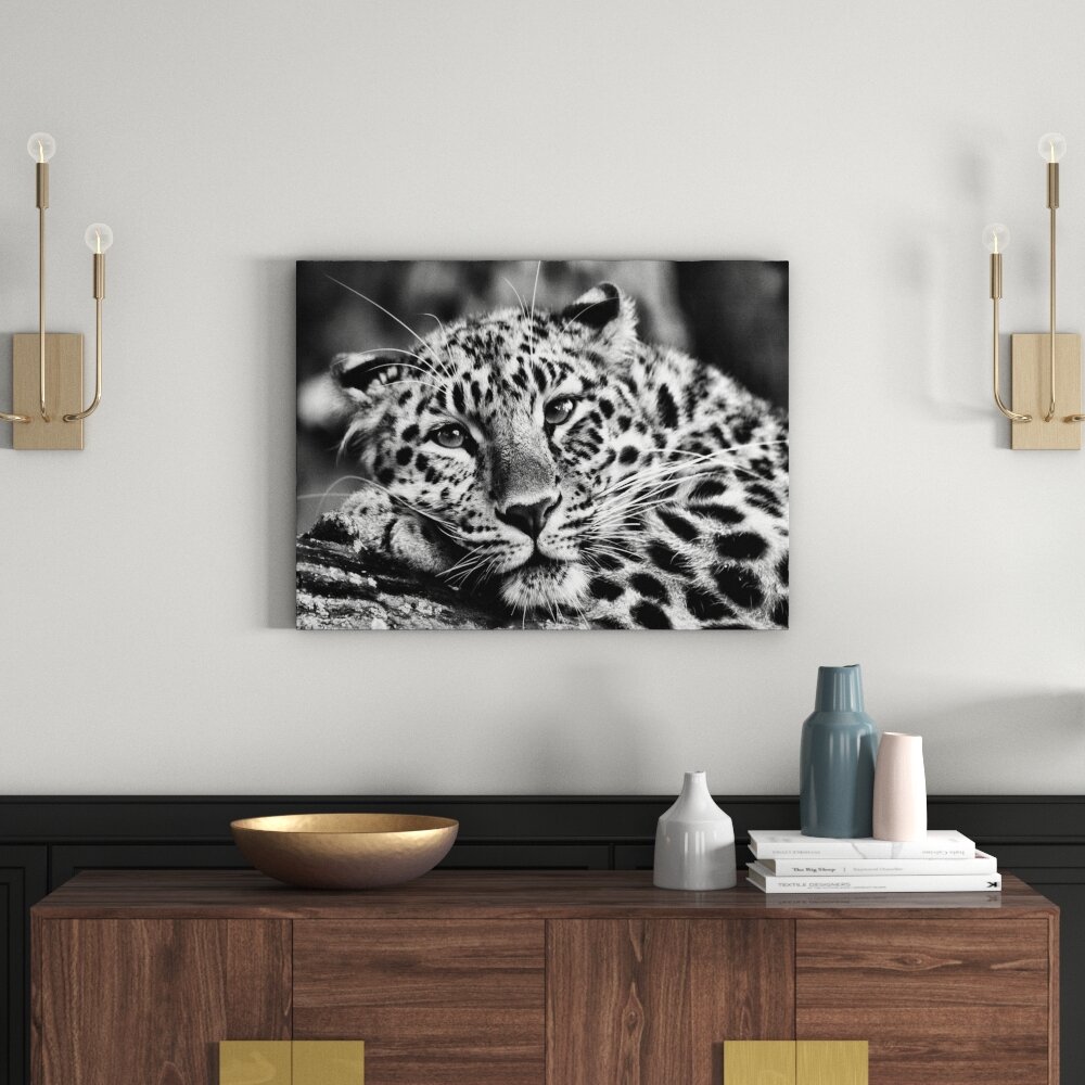 Leinwandbild Ruhender Leopard in Monochrom