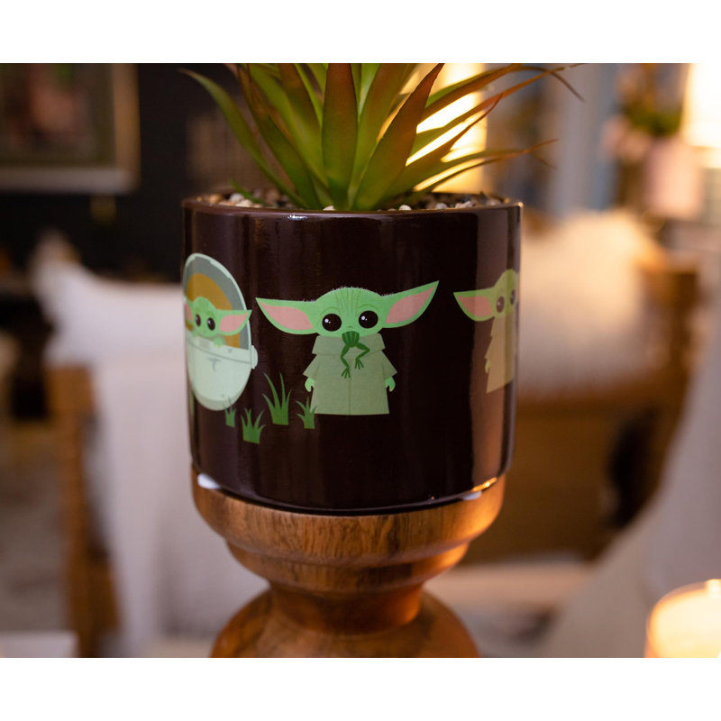 Plante succulente artificielle en pot The Child