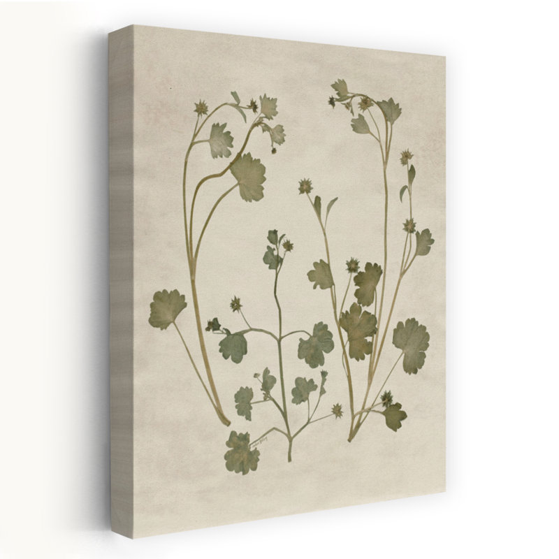 Feuilles botaniques 1 - Illustration botanique rétro avec feuilles délicates, H 24 po x l 16 po