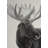 Grayscale Moose Profile - Scandinavian Framed Matted Print