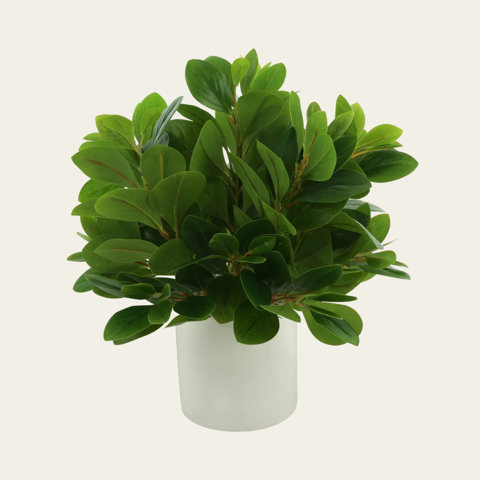 Green leaves in a white vase.