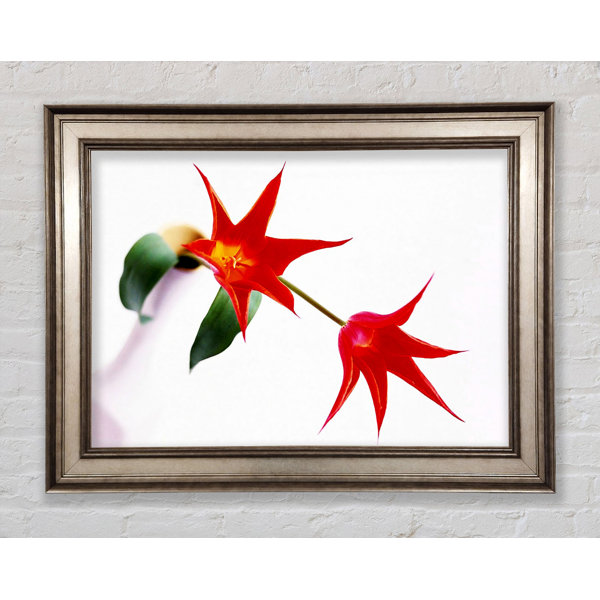 Bright Star Single Picture Frame Print | Wayfair.co.uk